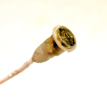 pin2.jpg