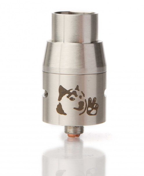 doghie-v2-stal-.jpg
