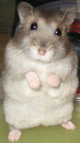 02.jpg